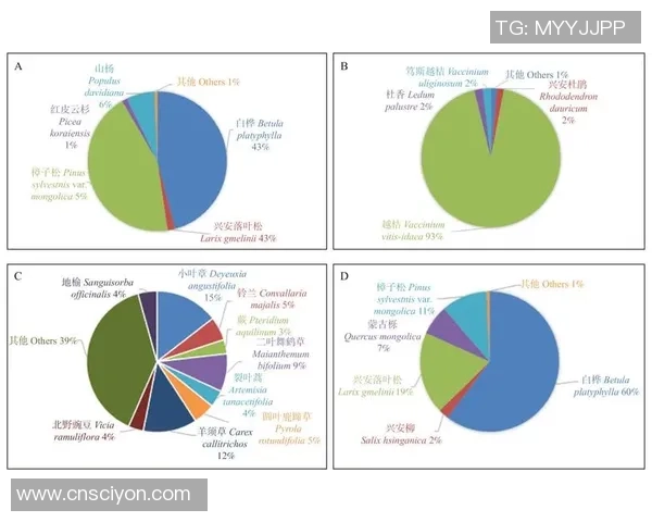 深入探讨北京网球队成员个人能力差异及其对比赛表现的影响分析